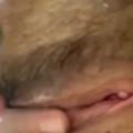 Thinking about your cock