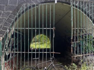 A nude scene and a flash pee under the bridge.