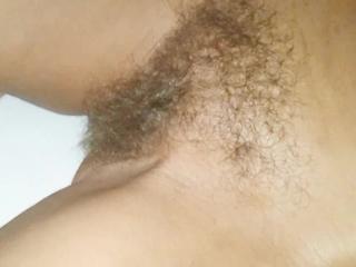 my hairy bush