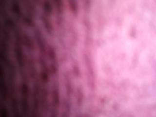 anal part 2