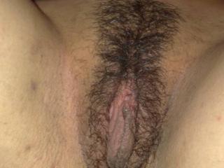 Hairy or Shaved? 2 of 7