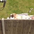 Caught her sunbathing !!!
