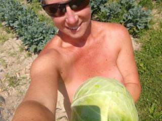 Picking Cabbage 5 of 18