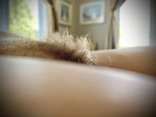 Do you like hairy pussies? 14 of 15