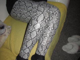 snake and wetlook leggings 1 of 7