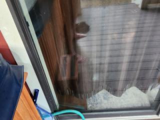 Back Porch