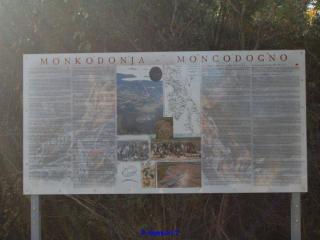 In Monkodonia 1 of 12