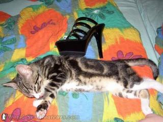 young pussy and high-heel