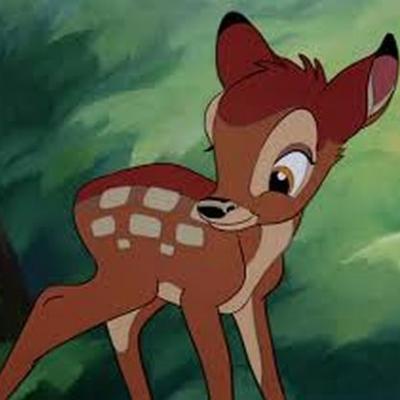 bambi41