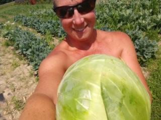 Picking Cabbage 13 of 18