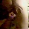Toyed her good