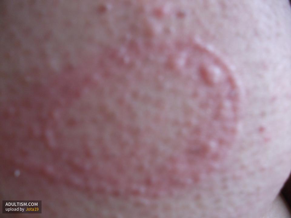 Image 7 of 7