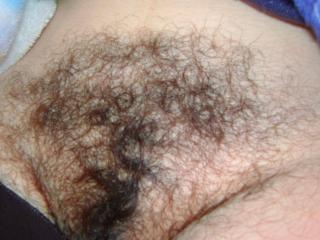 My hairy wife 10 of 13