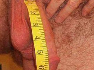 6 to 7  inches soft ...9 inches erect 2 of 6