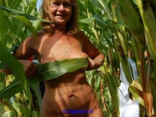 In the corn field 2 - Im Maisfeld 2 5 of 20