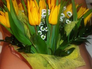 Yellow tulips 8 of 10
