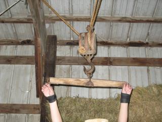 Tied up in the Barn