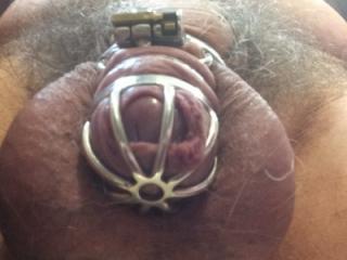 Chastity cages 3 of 7