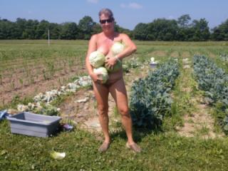 Picking Cabbage 9 of 18