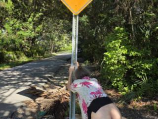 We must Follow the road signs