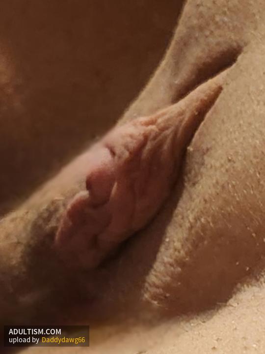 Image 7 of 20