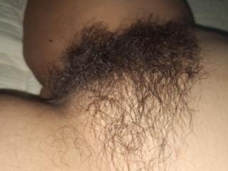 Hairy Hairy P 6 of 12