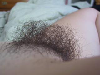 Hairy Wife 1... 3 of 4