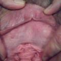 Close ups of big pussy and clit