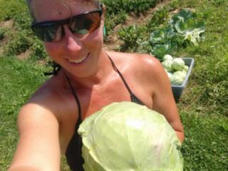 Picking Cabbage 1 of 18
