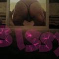 Honeysucklesissy