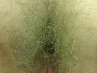 MATURE HAIRY NICE 2 of 10