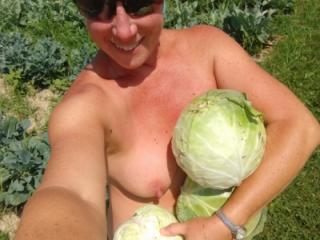 Picking Cabbage 15 of 18