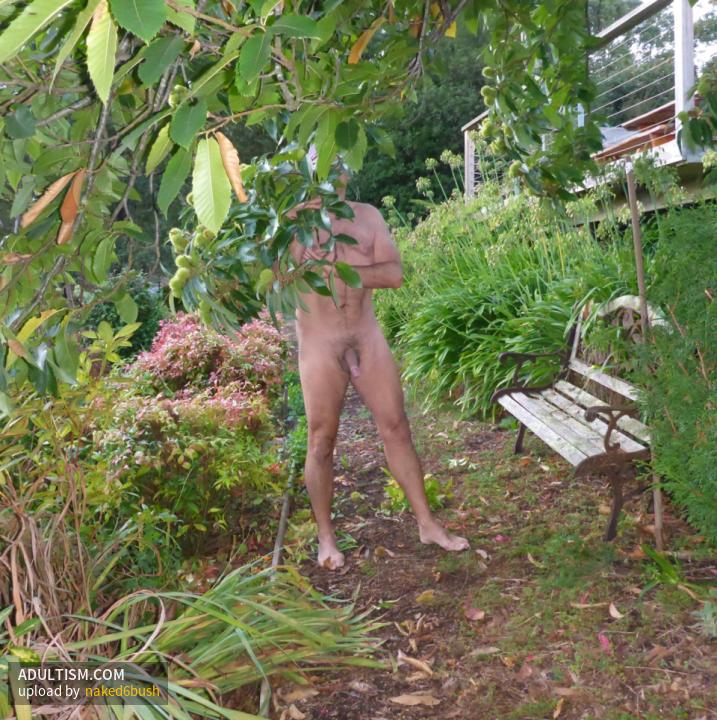 Image 7 of 7