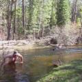 Naked bathing in the creek.