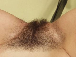 Hairy or Not 4 of 4