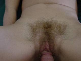 Submissive hairy pussy 5 of 8