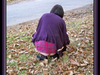 Picking chestnuts 18 of 19