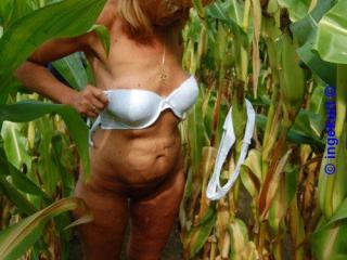 In the corn field 5 - Im Maisfeld 5 2 of 20