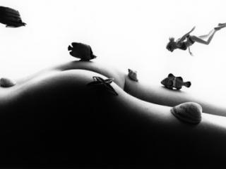 Bodyscape 7 of 10