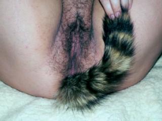 Who wants to fuck a cute raccoon? 10 of 20