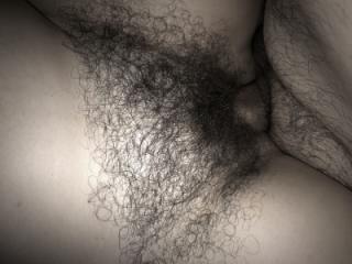 my hairy wife 11 of 11