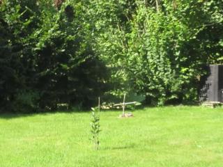 Naked in the garden enjoying to see rally cars passing