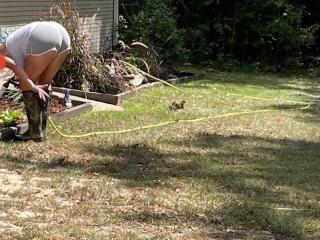 Sexy milf wife caught gardening! Wife next door! 1 of 5