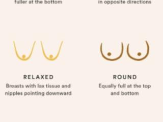 WHAT SHAPE DO YOU THINK THEY ARE? 2 of 12