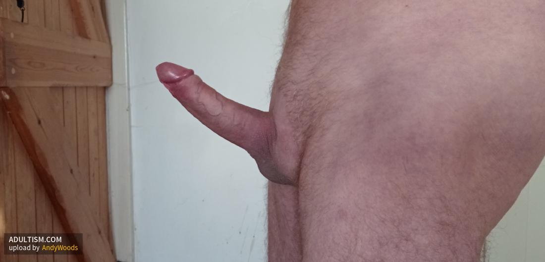 Image 4 of 5