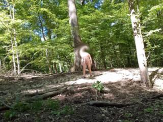 Naked walking through the beech grove 5 of 8