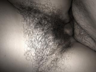 my hairy wife 12 of 12