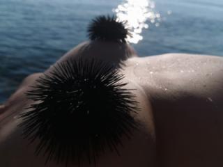 Rocks & sea urchin 11 of 13