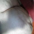 fun pussy and ass