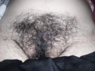 my hairy wife improvised photos 16 of 20